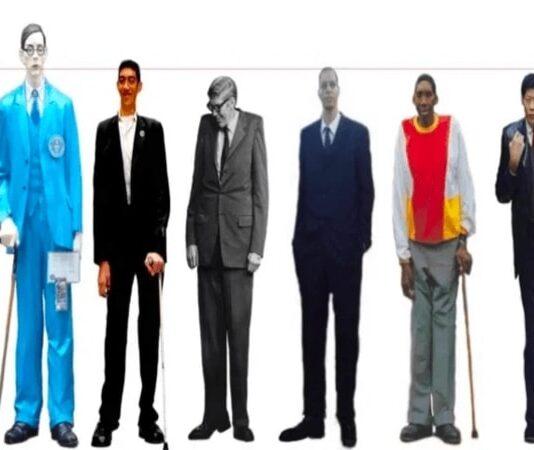 Top 10 Tallest men in the world who lived and amazed people Tallest men in the world