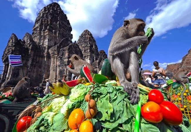 Monkey Buffet Festival