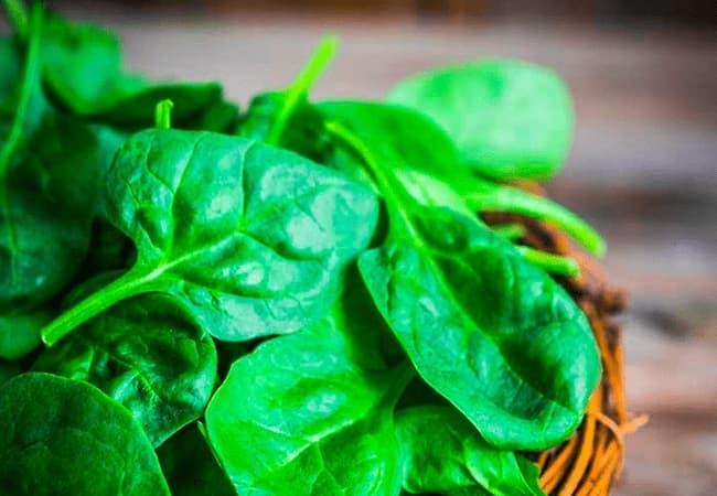 Spinach