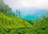 Best places in Munnar the heaven on earth in south India Best places in Munnar