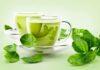 Green Tea importance suggested by health experts Green Tea Importance
