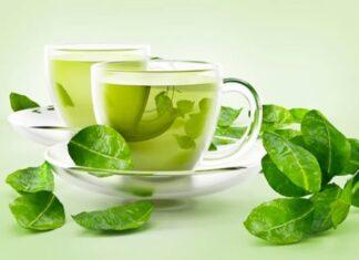 Green Tea importance suggested by health experts Green Tea Importance