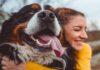 Do you know the health benefits of owning pets Health benefits of Owning Pets