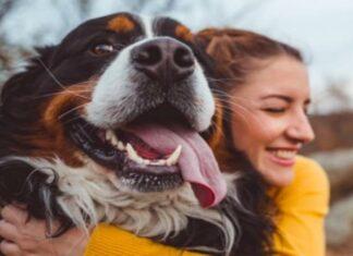 Do you know the health benefits of owning pets Health benefits of Owning Pets