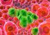 What Is Cancer and what all symptoms and treatment available to cure What Is Cancer