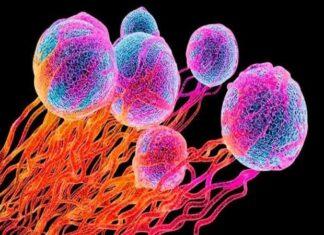 Cancer Diseases is the deadliest know enemy for Mankind Cancer Diseases