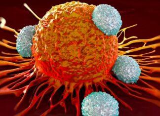 Cancer Symptoms and Treatment facility in India Cancer Symptoms and Treatment