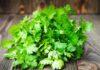 Coriander Leaves Health Benefit apart from garnishing dishes Coriander Leaves Health Benefit