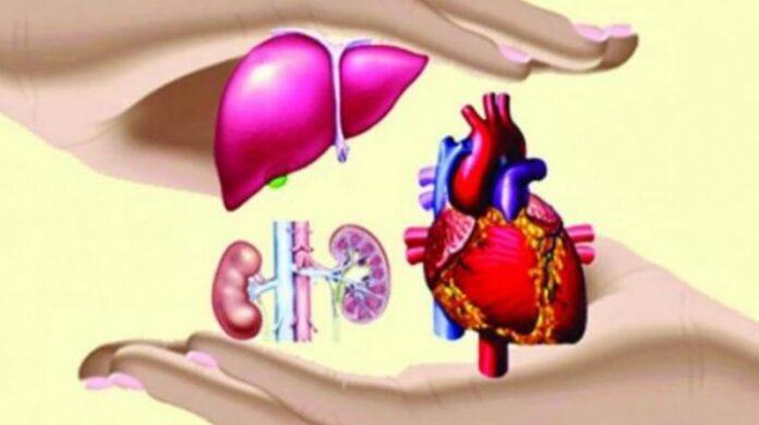 Organ Donation Organ Donation