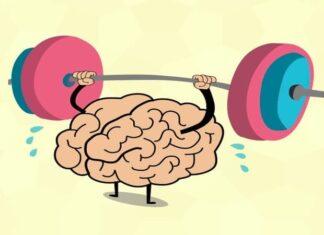 How to improve memory with daily exercise for you to learn How To Improve Memory