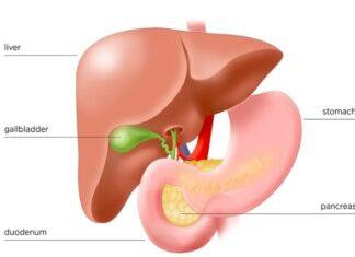 Pancreas Transplant for type 1 diabetic patients is reality in India Pancreas Transplant
