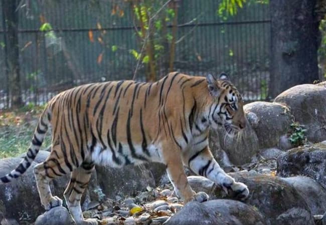The Alipore Zoo- Best Places in Kolkata