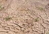 5 Water Conservation Tips for you to save water in crisis Water Conservation Tips