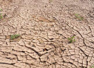 5 Water Conservation Tips for you to save water in crisis Water Conservation Tips