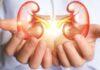 Kidney Diseases misconception in present society you must know Kidney Diseases Misconception