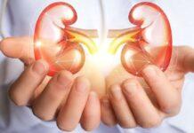 Kidney Diseases misconception in present society you must know Kidney Diseases Misconception