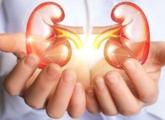 Kidney Diseases misconception in present society you must know Kidney Diseases Misconception