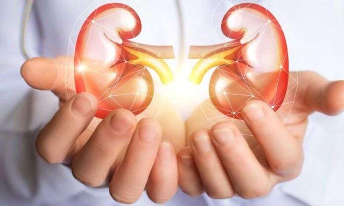 Kidney Diseases Misconception