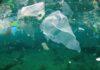 Best Ocean Garbage Solution with the help of technology for you ocean garbage