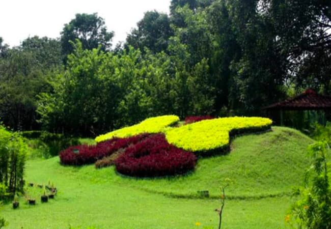 Butterfly Park- Best Places in Chandigarh