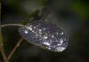 Dewdrop Natural Water Purifier which creates clean water from Air Dewdrop Natural Water Purifier