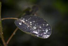 Dewdrop Natural Water Purifier which creates clean water from Air Dewdrop Natural Water Purifier