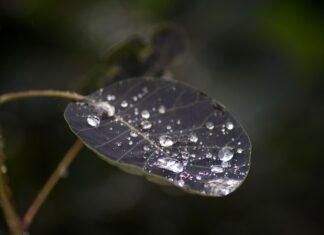 Dewdrop Natural Water Purifier which creates clean water from Air Dewdrop Natural Water Purifier