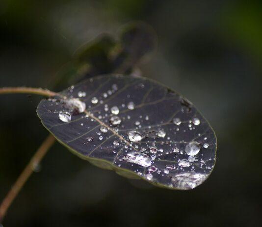 Dewdrop Natural Water Purifier which creates clean water from Air Dewdrop Natural Water Purifier