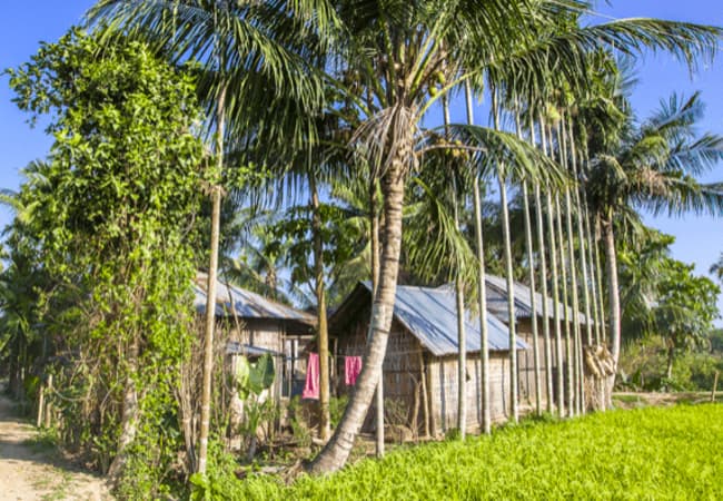 Tripura- Seven Sisters of India
