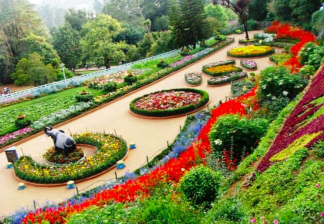 Zakir Hussain Rose Garden- Best Places in Chandigarh