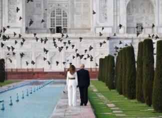 Taj Mahal stands out as the most desired Monument in the world Taj Mahal