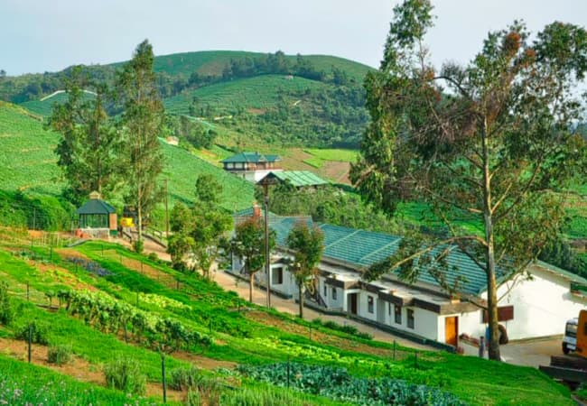 Ooty- Best Family Destination in India