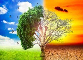 Why Global Warming scaring the scientific fraternity across the world Global Warming