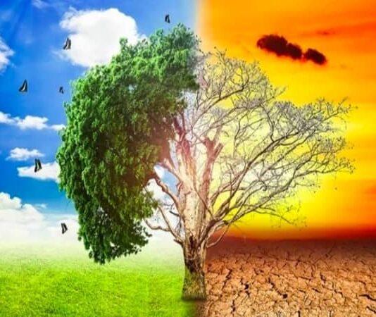 Why Global Warming scaring the scientific fraternity across the world Global Warming